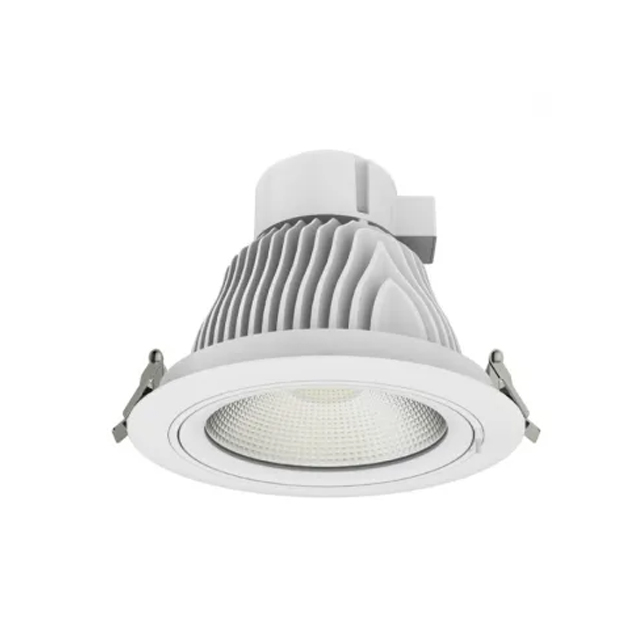 Luna COB Downlight with LED